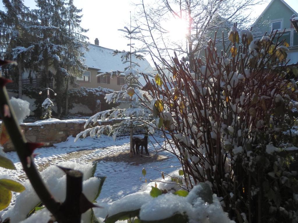Gasthof Loewen, Heitersheim Buitenkant foto